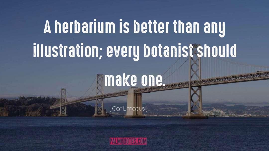 Carl Linnaeus Quotes: A herbarium is better than