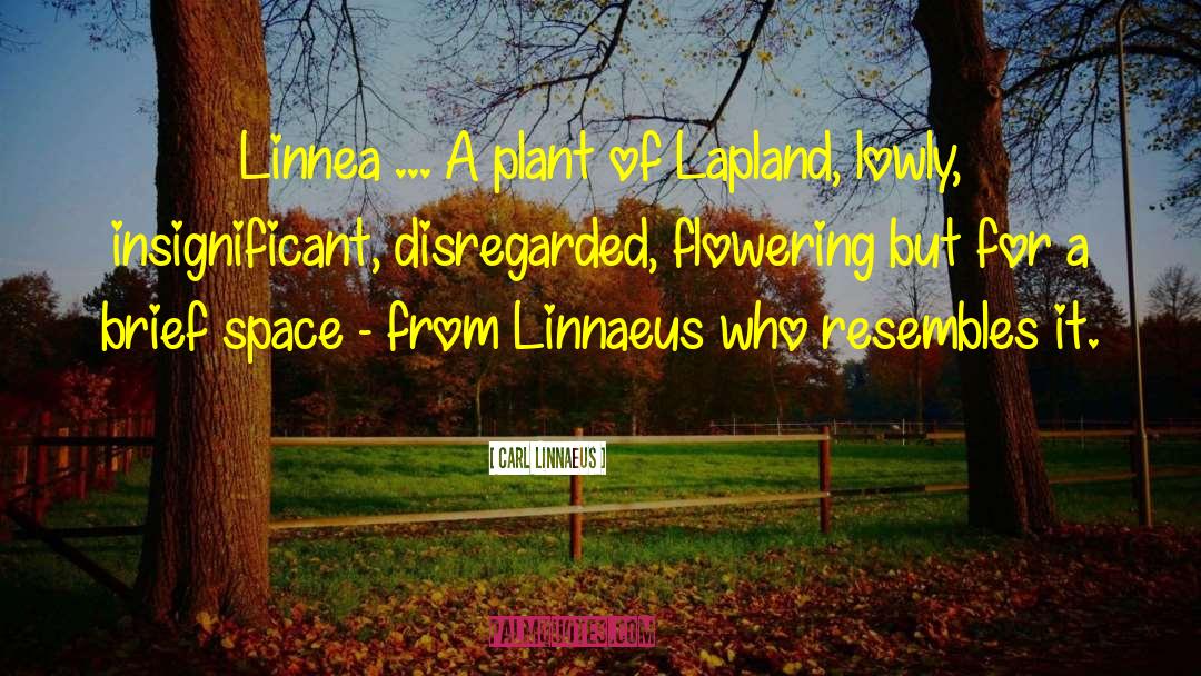 Carl Linnaeus Quotes: Linnea ... A plant of