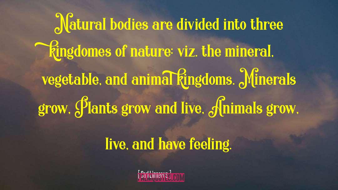 Carl Linnaeus Quotes: Natural bodies are divided into