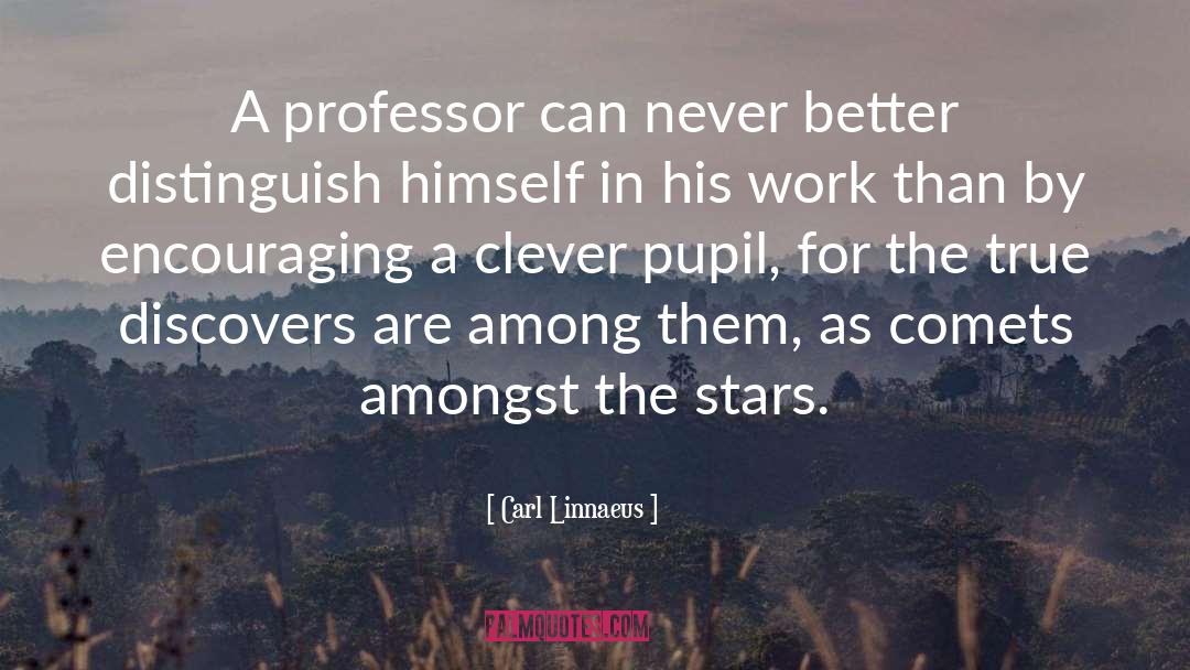 Carl Linnaeus Quotes: A professor can never better