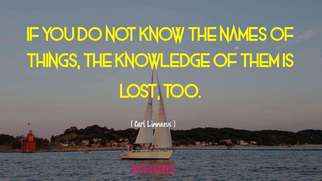 Carl Linnaeus Quotes: If you do not know