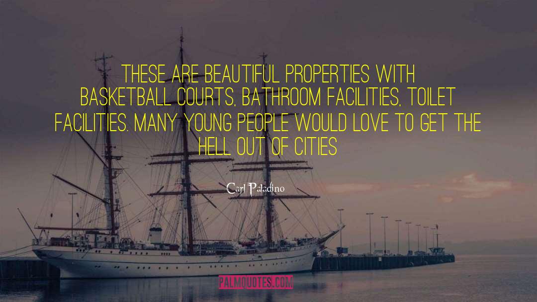 Carl Paladino Quotes: THESE ARE BEAUTIFUL PROPERTIES with