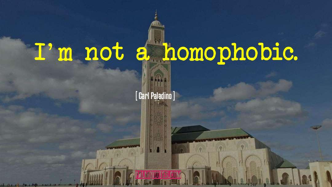 Carl Paladino Quotes: I'm not a homophobic.