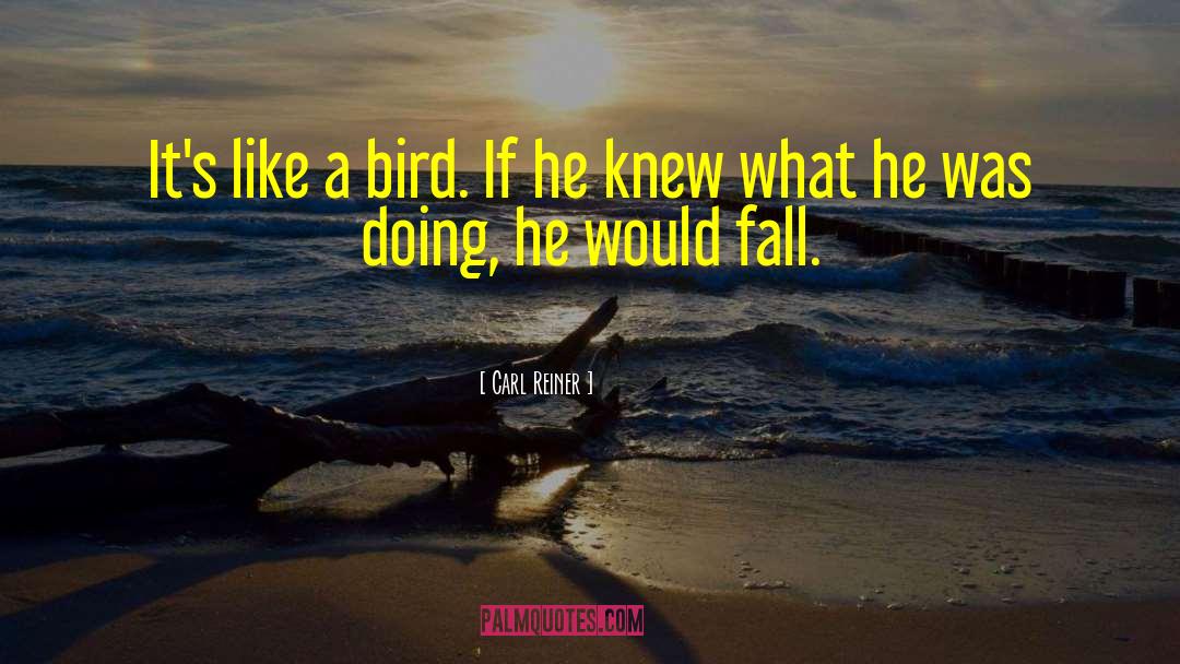 Carl Reiner Quotes: It's like a bird. If