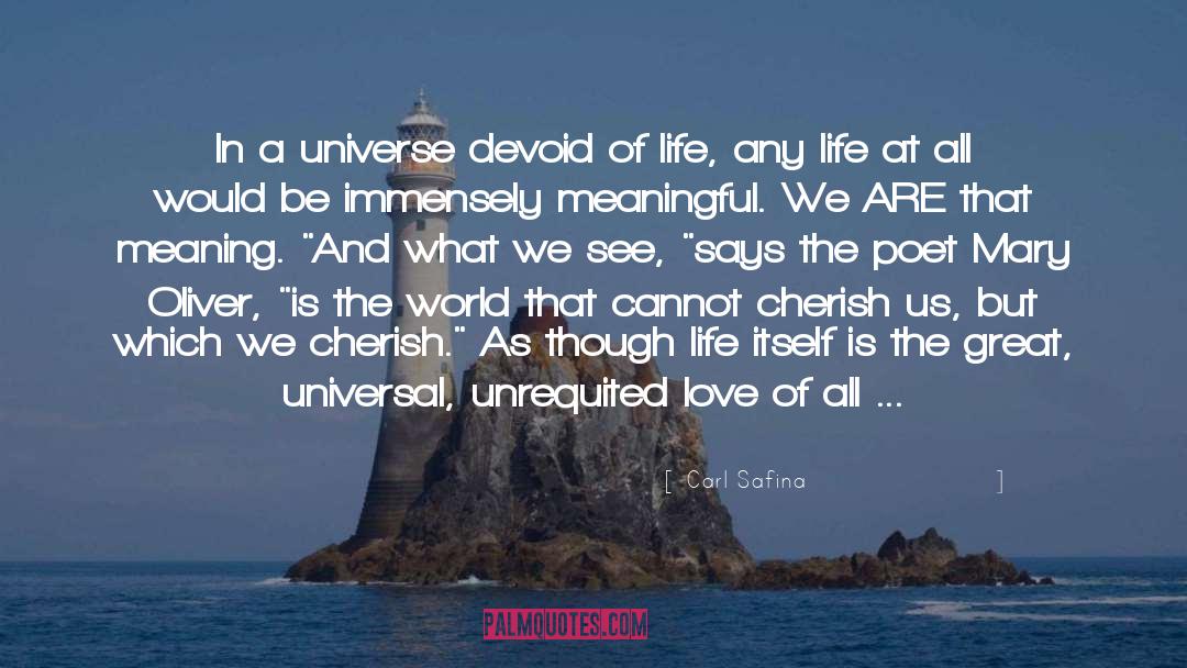 Carl Safina Quotes: In a universe devoid of