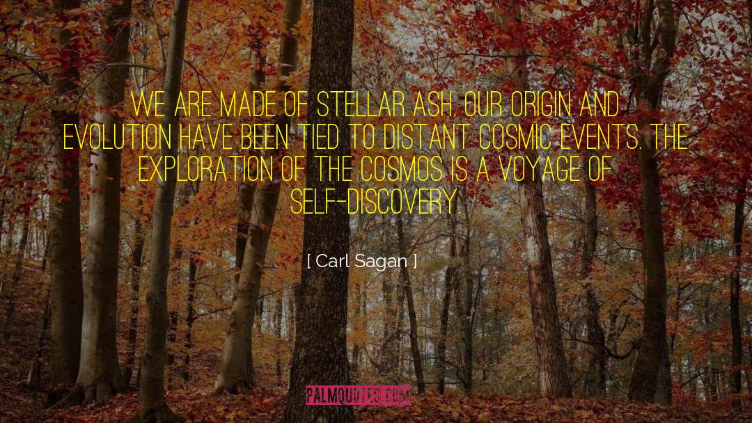 Carl Sagan Quotes: We are made of stellar