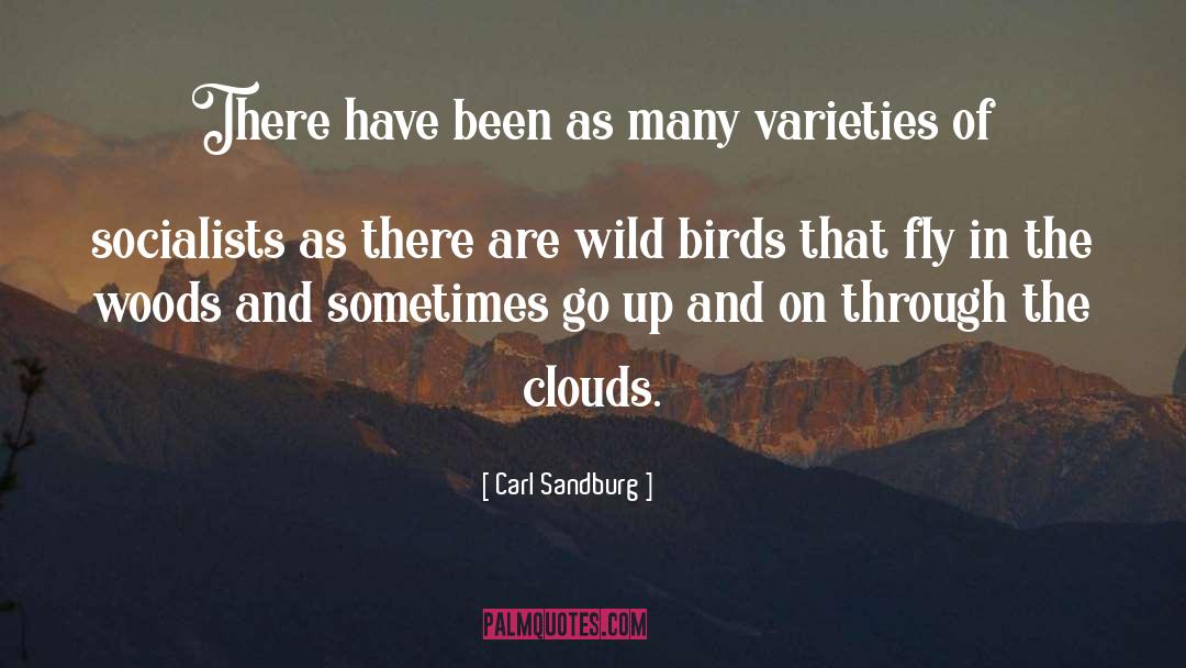 Carl Sandburg Quotes: There have been as many