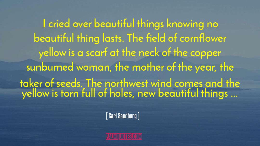 Carl Sandburg Quotes: I cried over beautiful things