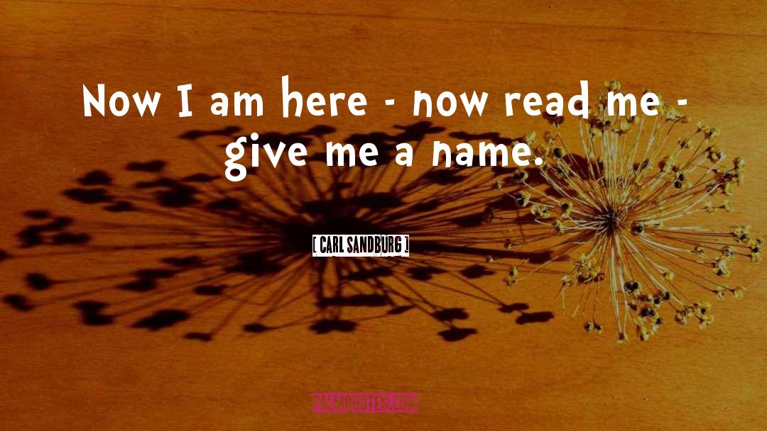Carl Sandburg Quotes: Now I am here -