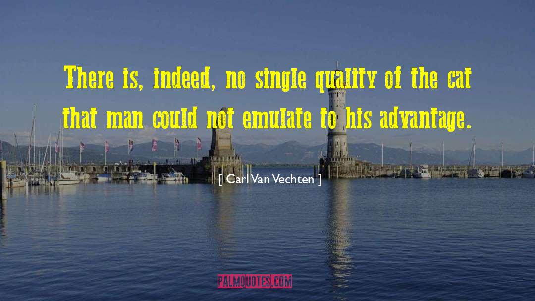 Carl Van Vechten Quotes: There is, indeed, no single