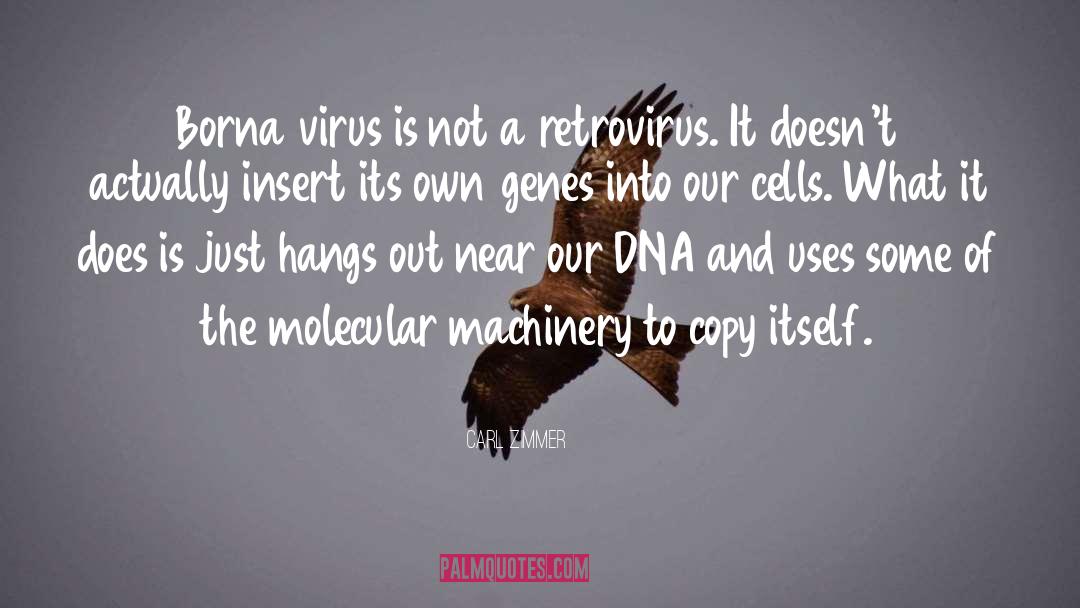 Carl Zimmer Quotes: Borna virus is not a
