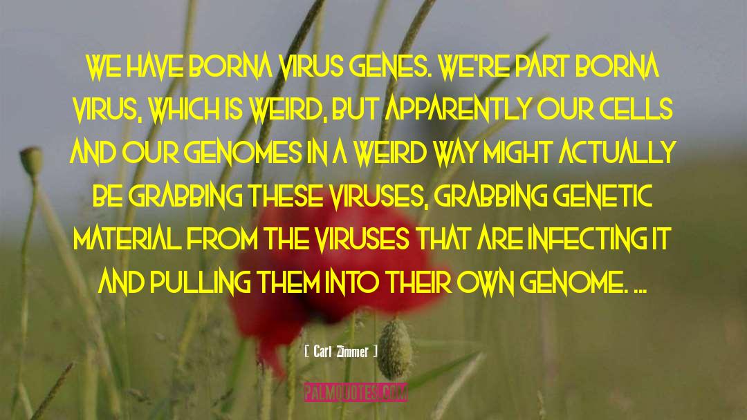 Carl Zimmer Quotes: We have Borna virus genes.
