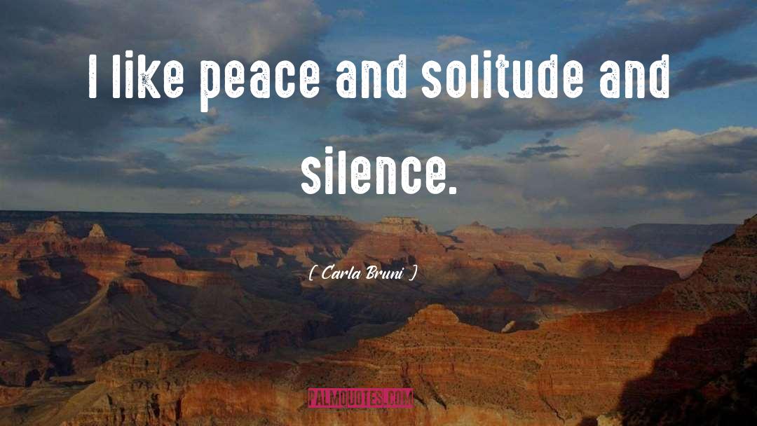 Carla Bruni Quotes: I like peace and solitude