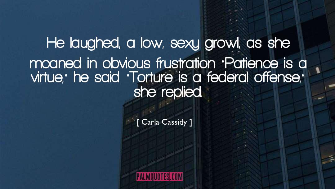 Carla Cassidy Quotes: He laughed, a low, sexy
