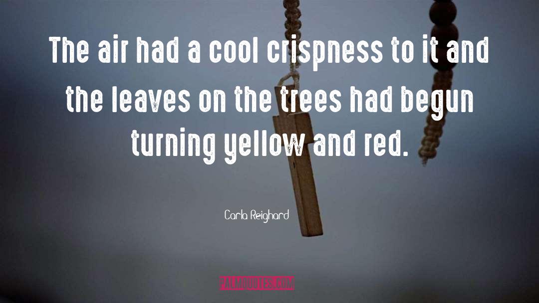 Carla Reighard Quotes: The air had a cool