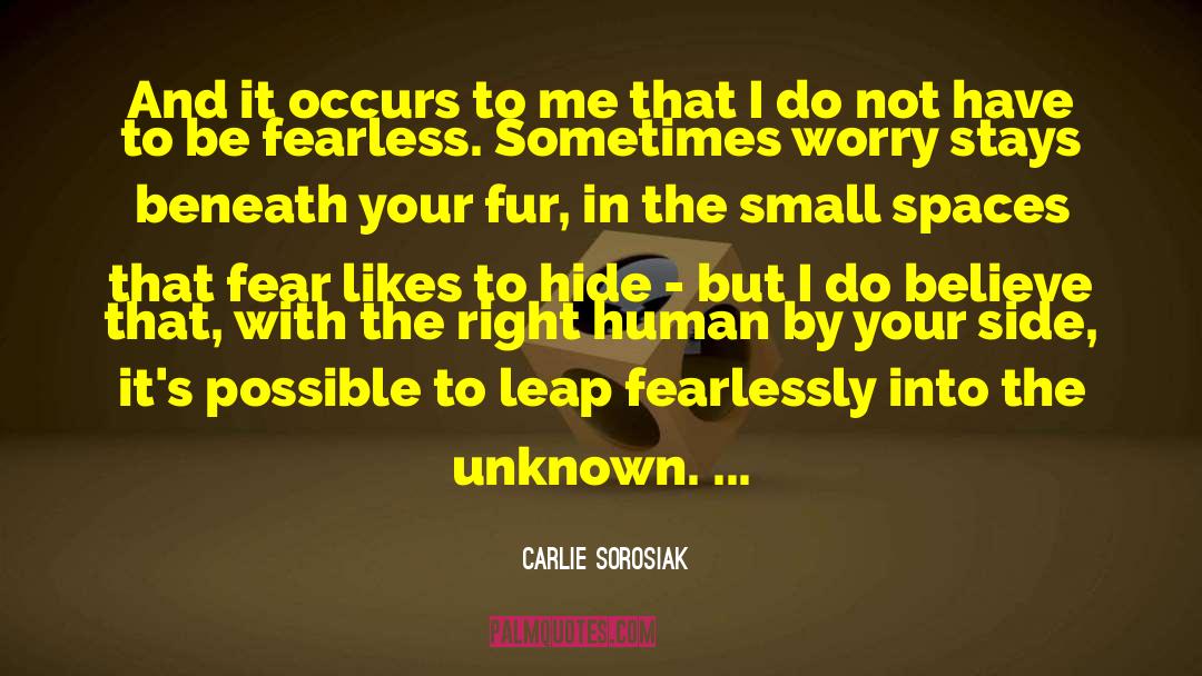 Carlie Sorosiak Quotes: And it occurs to me