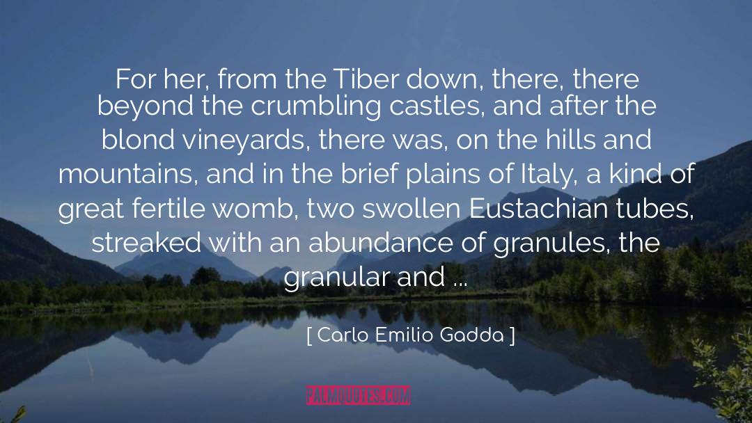 Carlo Emilio Gadda Quotes: For her, from the Tiber
