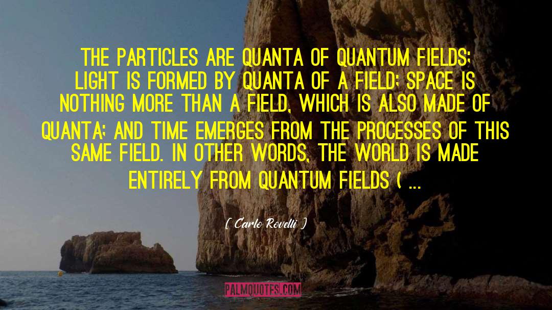 Carlo Rovelli Quotes: the particles are quanta of