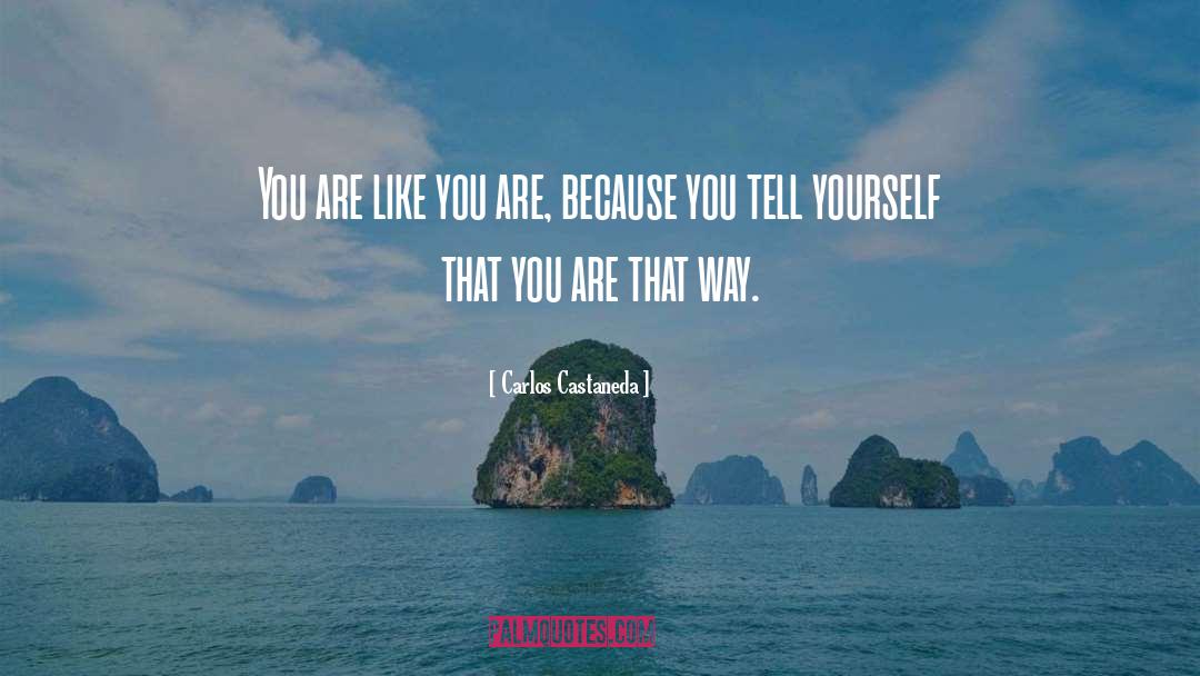 Carlos Castaneda Quotes: You are like you are,