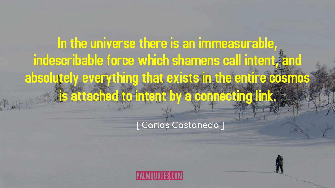 Carlos Castaneda Quotes: In the universe there is