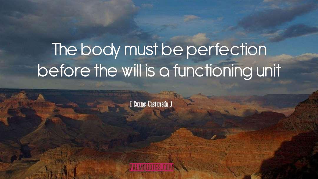 Carlos Castaneda Quotes: The body must be perfection