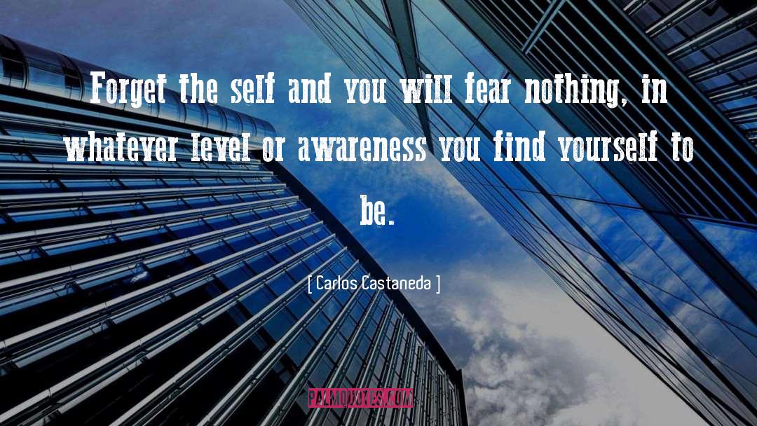 Carlos Castaneda Quotes: Forget the self and you