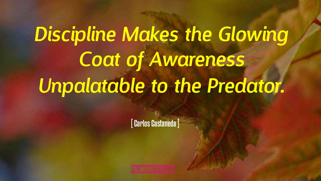 Carlos Castaneda Quotes: Discipline Makes the Glowing Coat