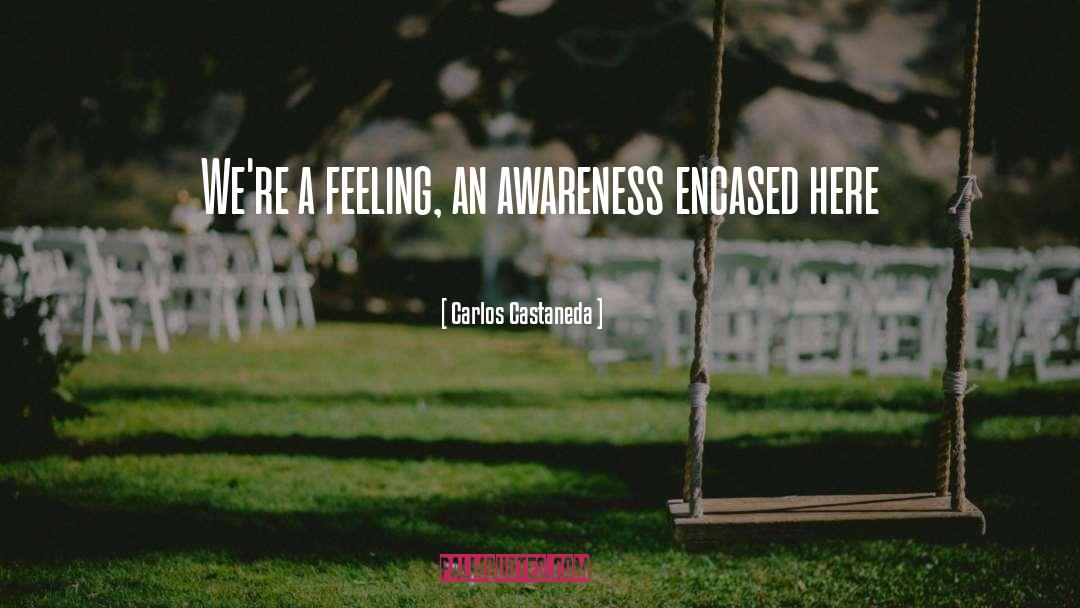 Carlos Castaneda Quotes: We're a feeling, an awareness
