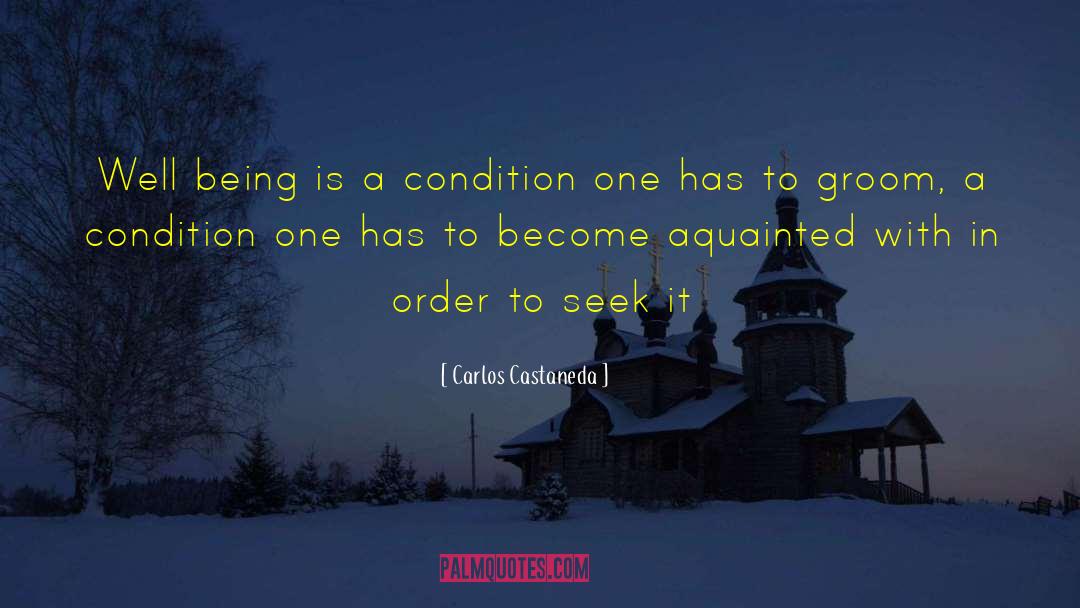 Carlos Castaneda Quotes: Well being is a condition