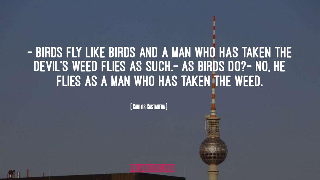 Carlos Castaneda Quotes: - Birds fly like birds