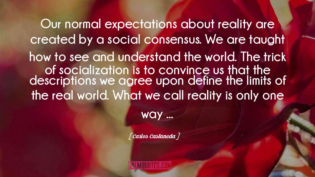 Carlos Castaneda Quotes: Our normal expectations about reality