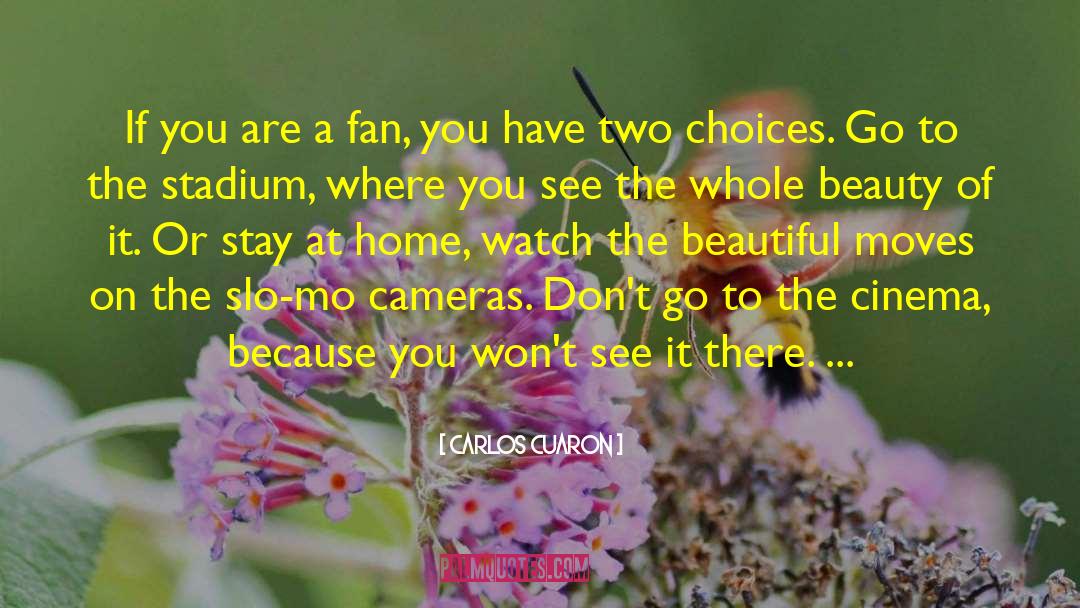 Carlos Cuaron Quotes: If you are a fan,