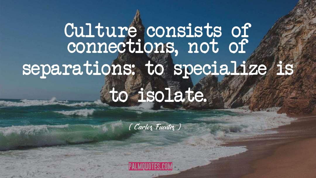 Carlos Fuentes Quotes: Culture consists of connections, not