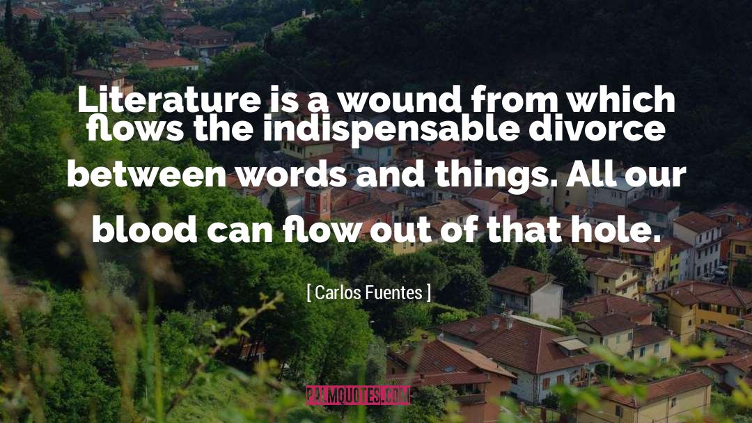 Carlos Fuentes Quotes: Literature is a wound from