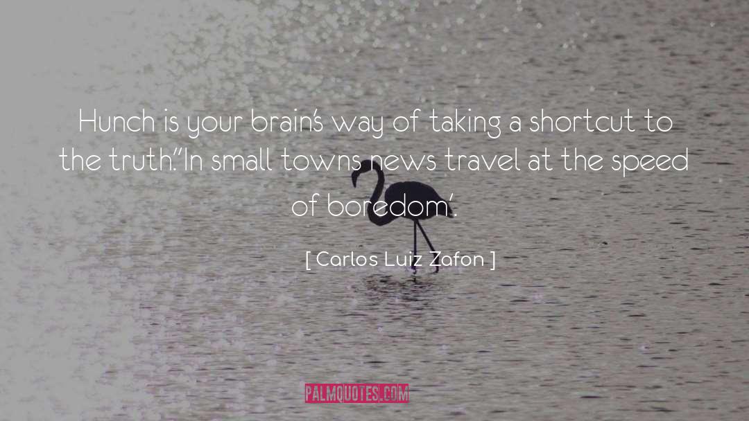 Carlos Luiz Zafon Quotes: Hunch is your brain's way