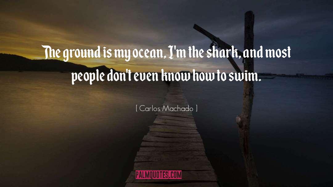 Carlos Machado Quotes: The ground is my ocean,