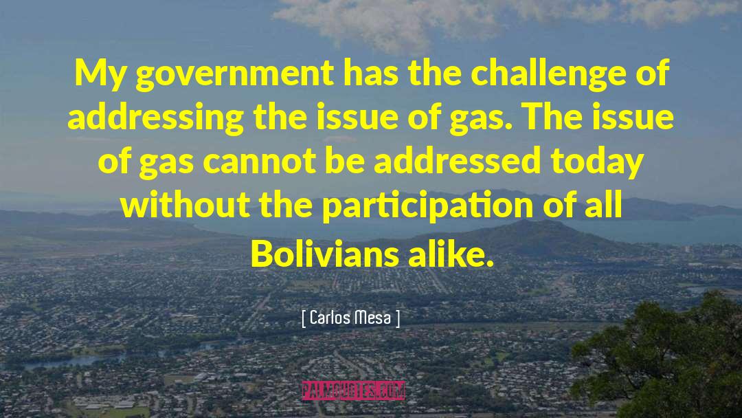 Carlos Mesa Quotes: My government has the challenge