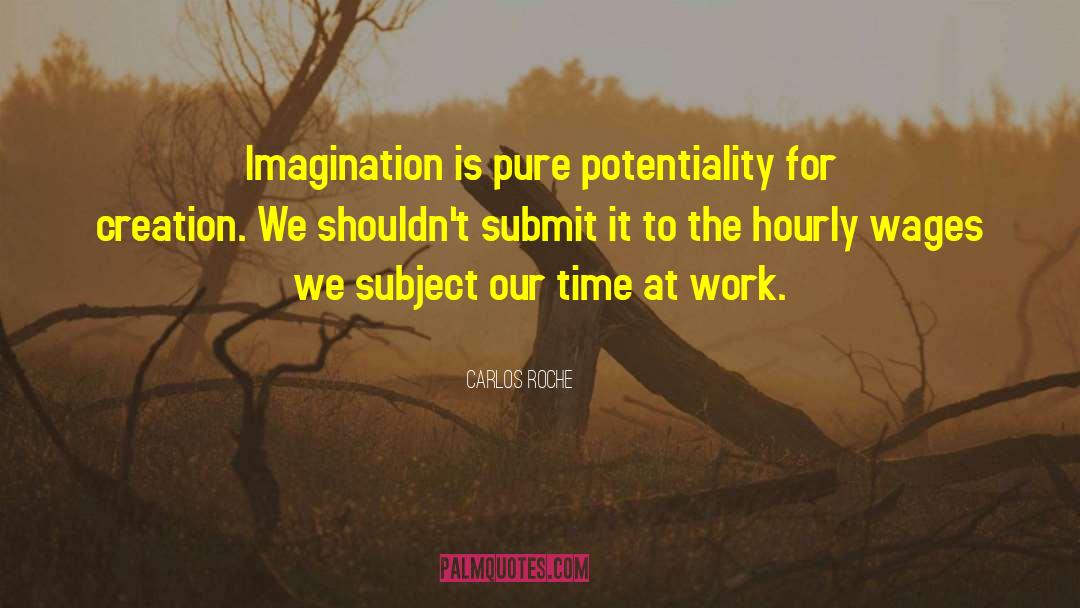 Carlos Roche Quotes: Imagination is pure potentiality for