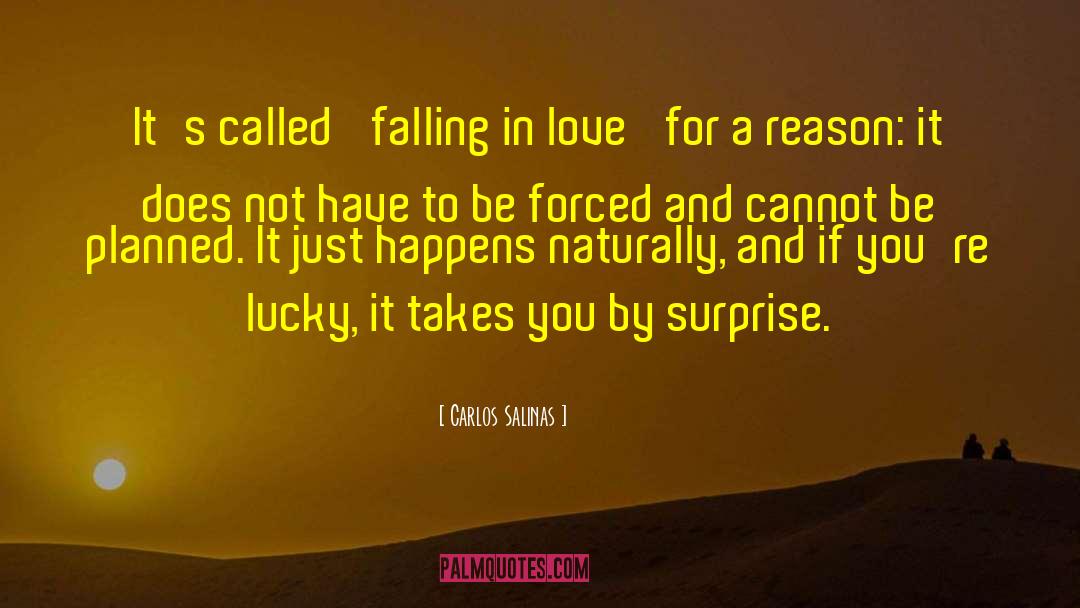 Carlos Salinas Quotes: It's called 'falling in love'