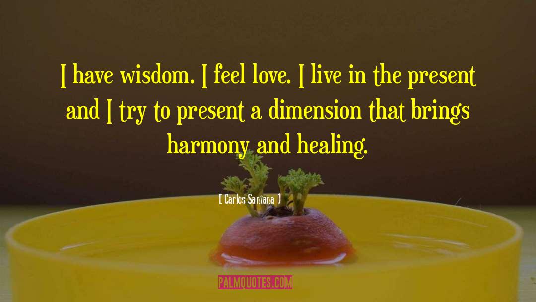Carlos Santana Quotes: I have wisdom. I feel