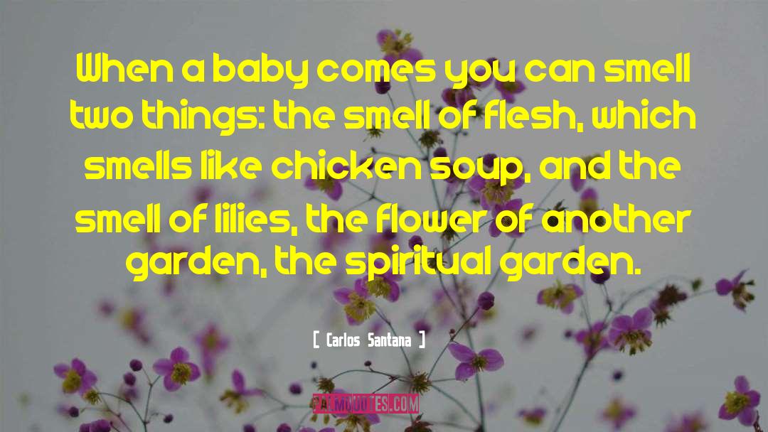 Carlos Santana Quotes: When a baby comes you