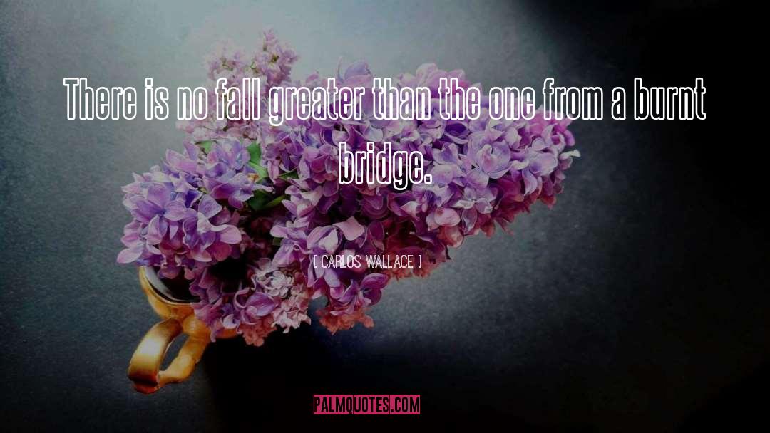 Carlos Wallace Quotes: There is no fall greater