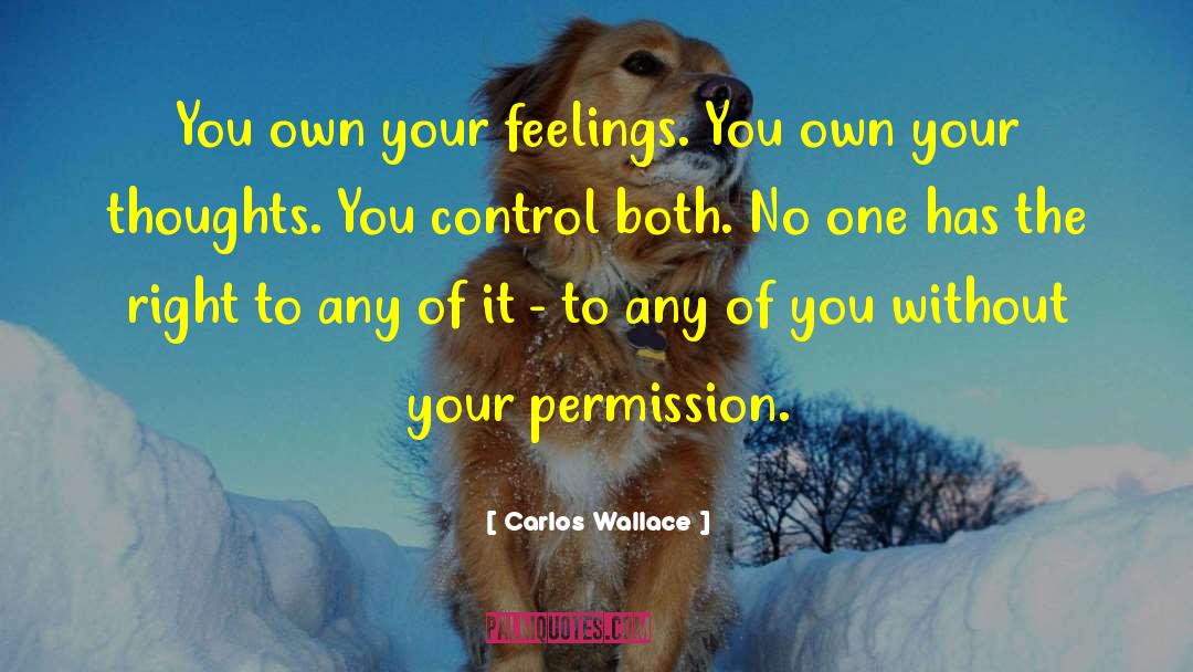 Carlos Wallace Quotes: You own your feelings. You