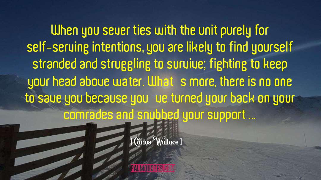 Carlos Wallace Quotes: When you sever ties with