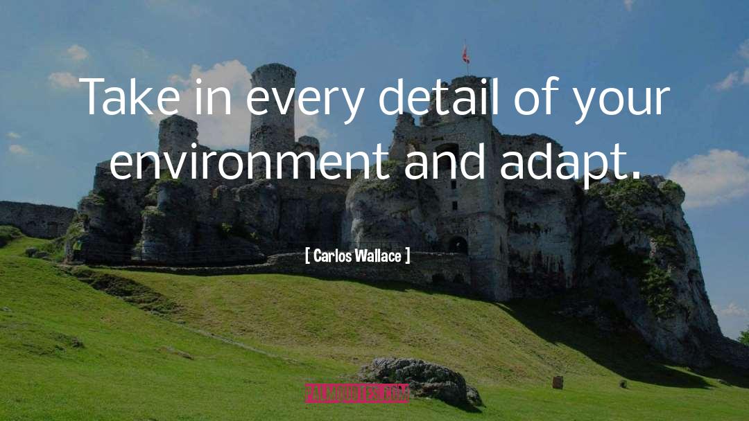 Carlos Wallace Quotes: Take in every detail of