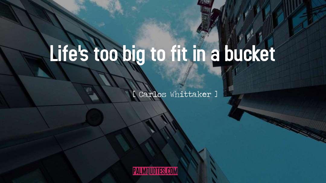 Carlos Whittaker Quotes: Life's too big to fit