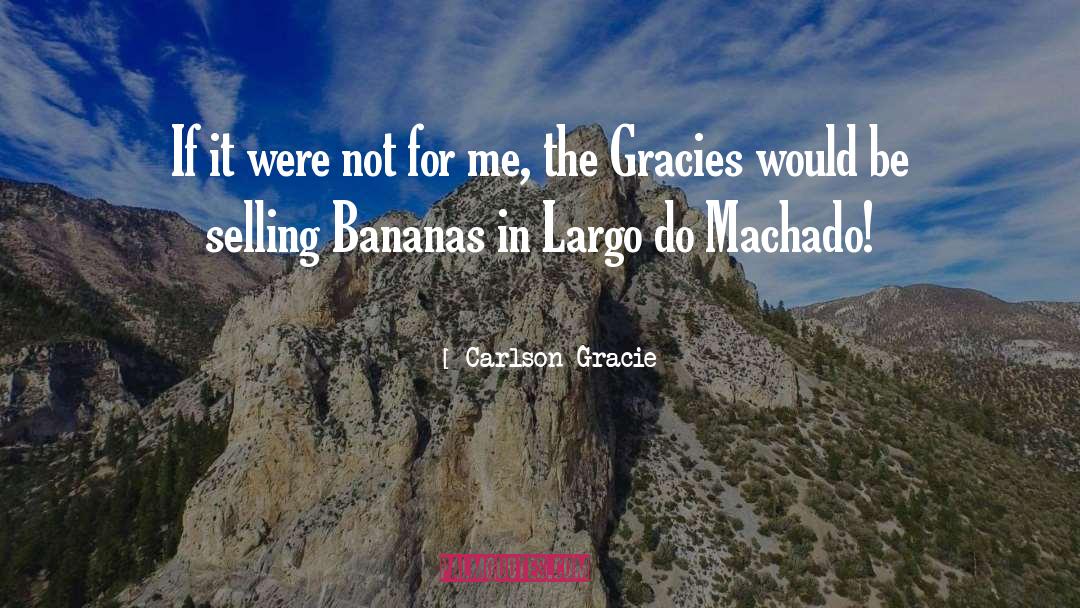 Carlson Gracie Quotes: If it were not for