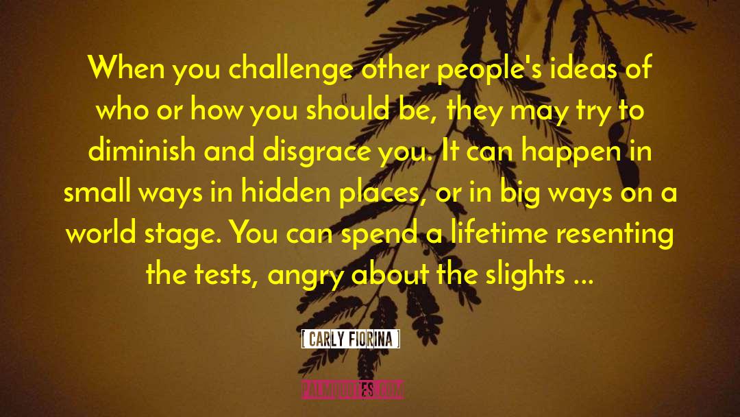 Carly Fiorina Quotes: When you challenge other people's