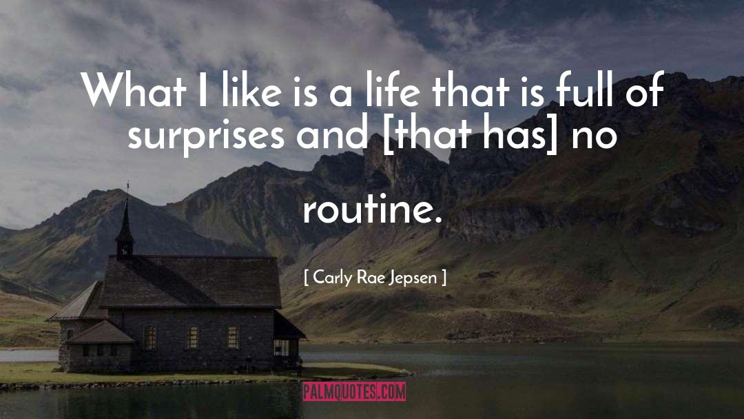 Carly Rae Jepsen Quotes: What I like is a