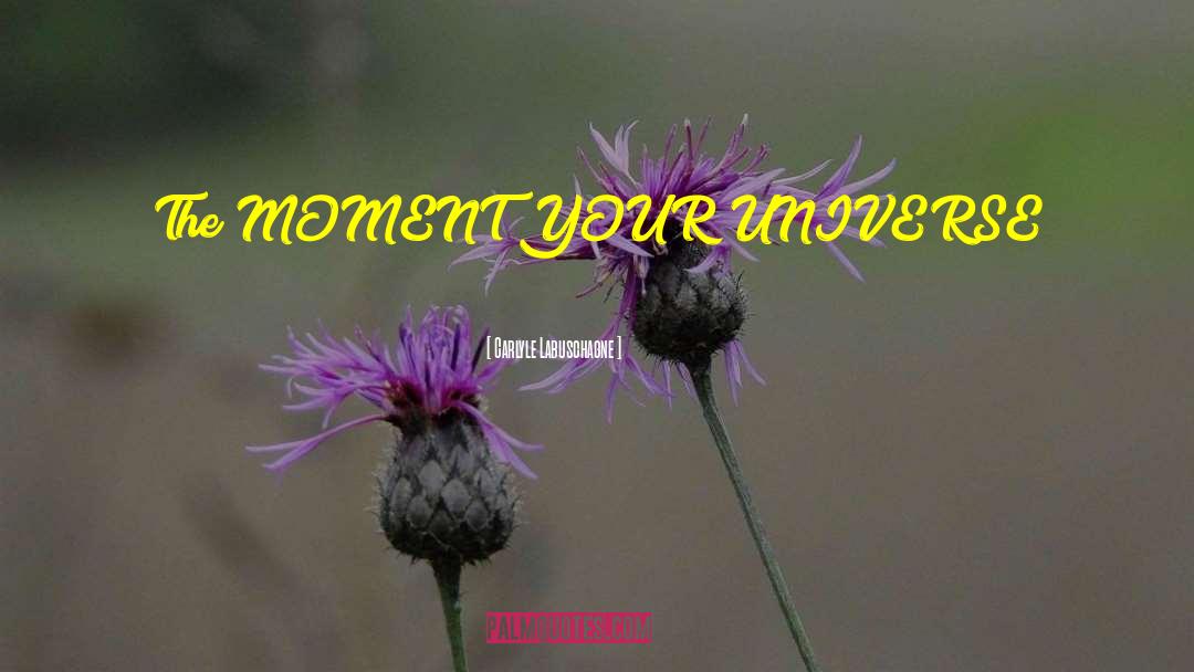 Carlyle Labuschagne Quotes: The MOMENT YOUR UNIVERSE SPINS